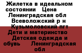 Жилетка в идеальном состоянии › Цена ­ 450 - Ленинградская обл., Всеволожский р-н, Кузьмоловский пгт Дети и материнство » Детская одежда и обувь   . Ленинградская обл.